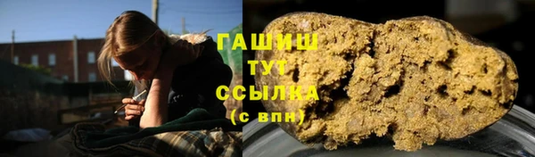 шишки Верея