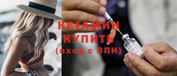 шишки Верея