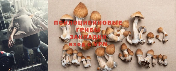 кокс Бородино