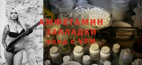 шишки Верея