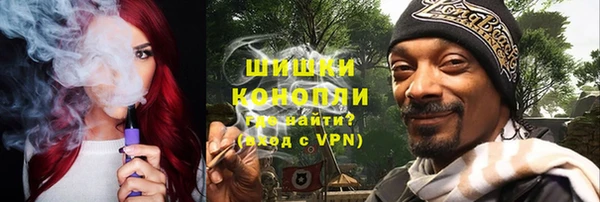 шишки Верея