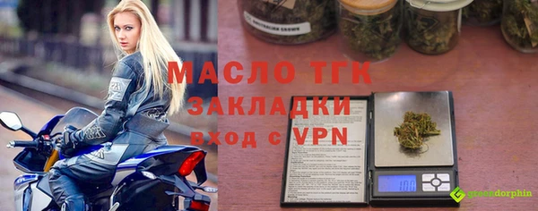 шишки Верея